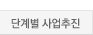 단계별 사업추진